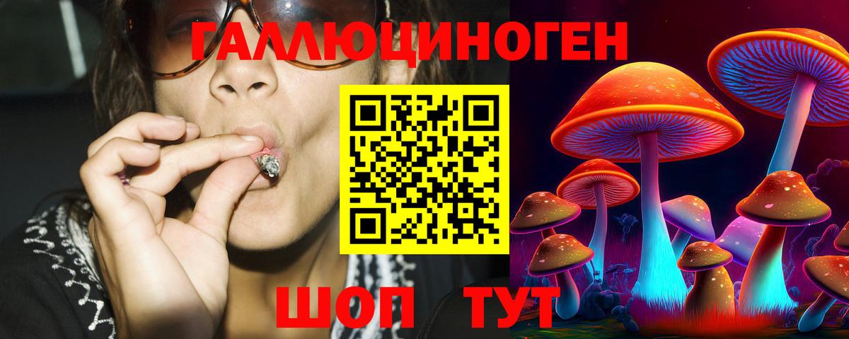 Кимовск  Псилоцибиновые грибы GOLDEN TEACHER  Псилоцибиновые грибы Cubensis  Вход с VPN 